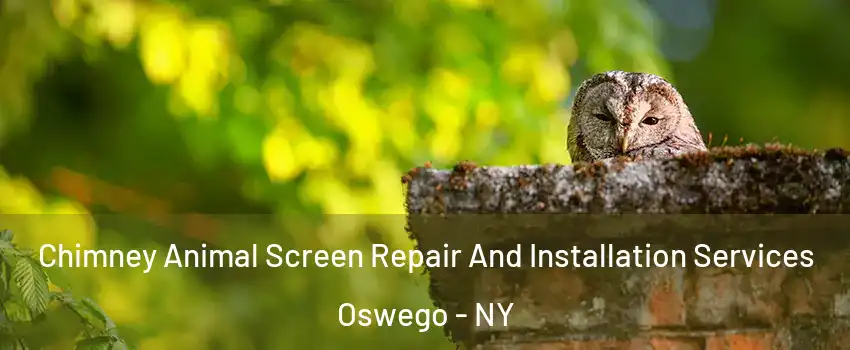  Chimney Animal Screen Repair And Installation Services Oswego - NY