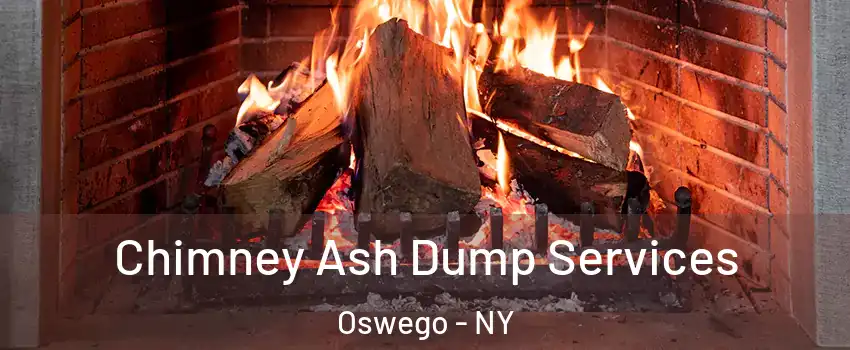  Chimney Ash Dump Services Oswego - NY