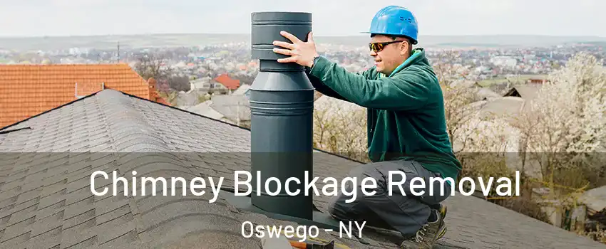  Chimney Blockage Removal Oswego - NY
