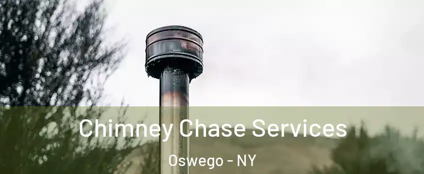  Chimney Chase Services Oswego - NY
