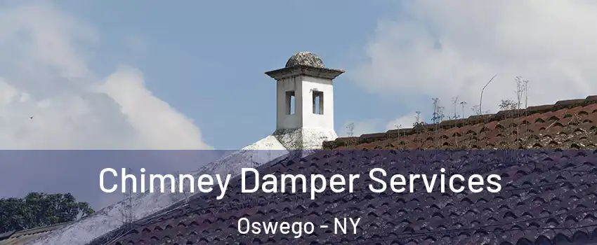  Chimney Damper Services Oswego - NY
