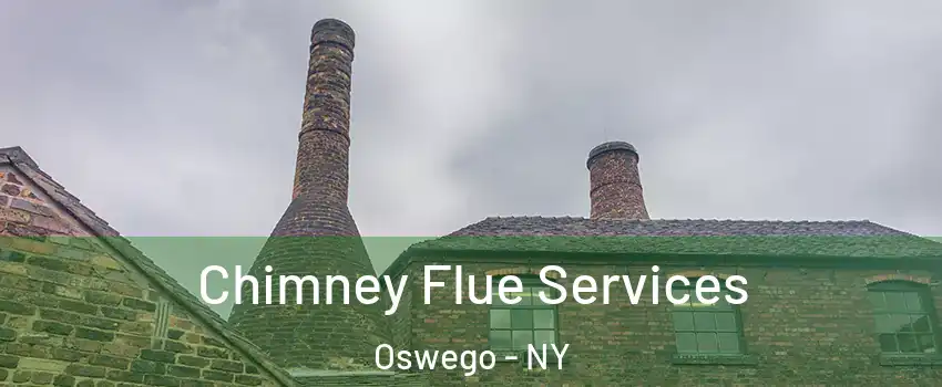  Chimney Flue Services Oswego - NY