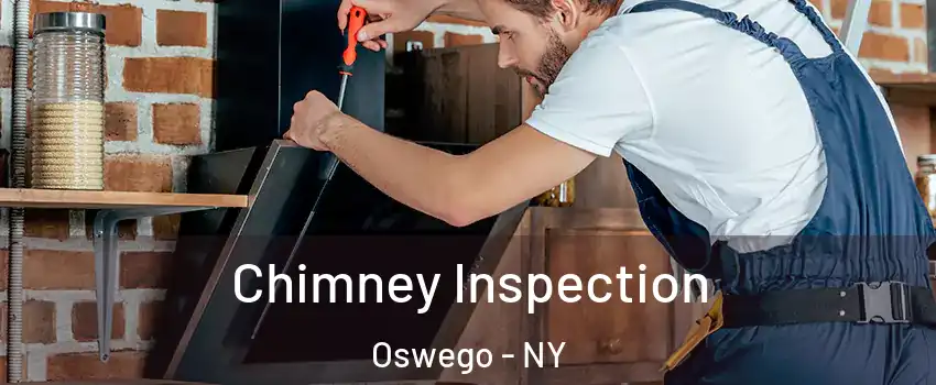  Chimney Inspection Oswego - NY