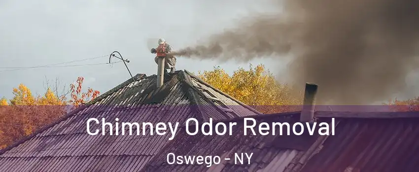  Chimney Odor Removal Oswego - NY
