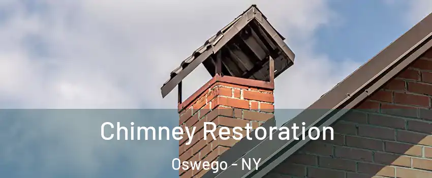  Chimney Restoration Oswego - NY