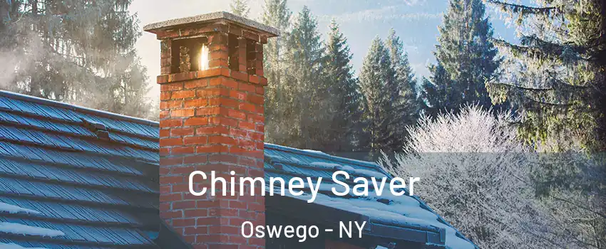 Chimney Saver Oswego - NY