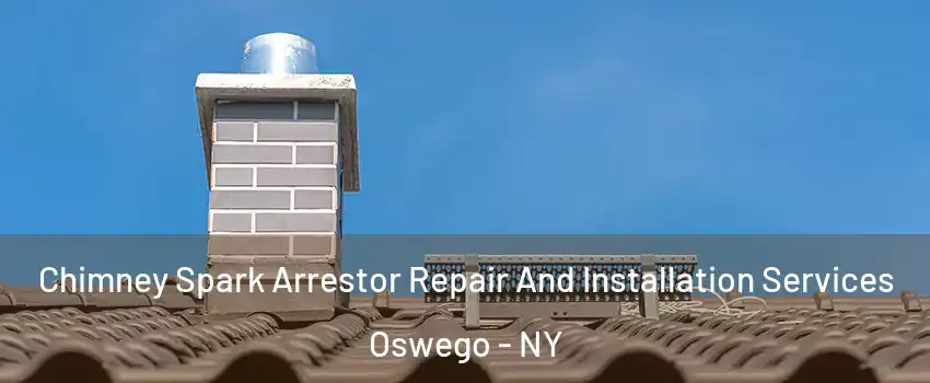 Chimney Spark Arrestor Repair And Installation Services Oswego - NY