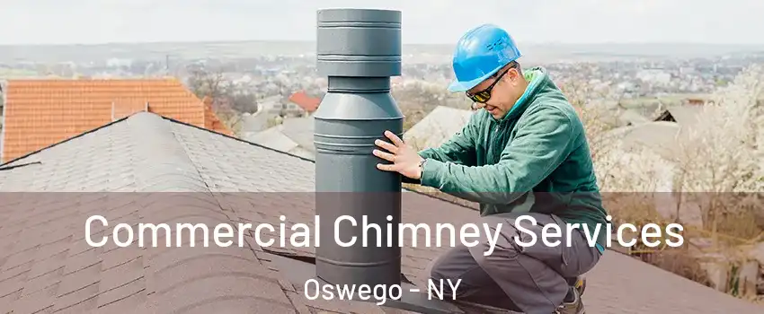  Commercial Chimney Services Oswego - NY