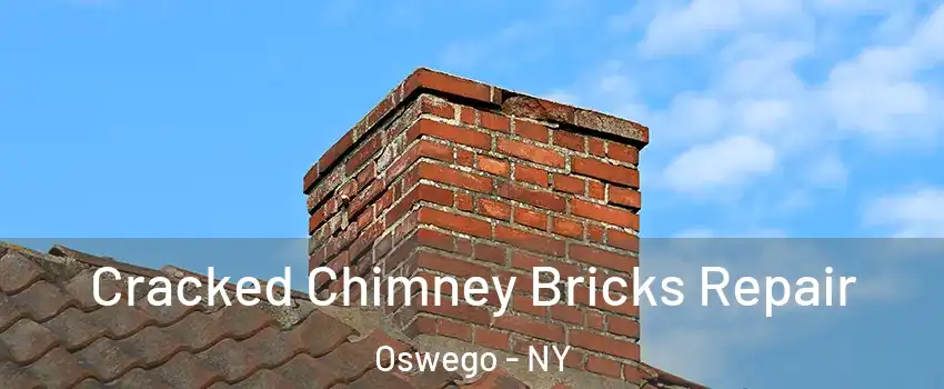  Cracked Chimney Bricks Repair Oswego - NY