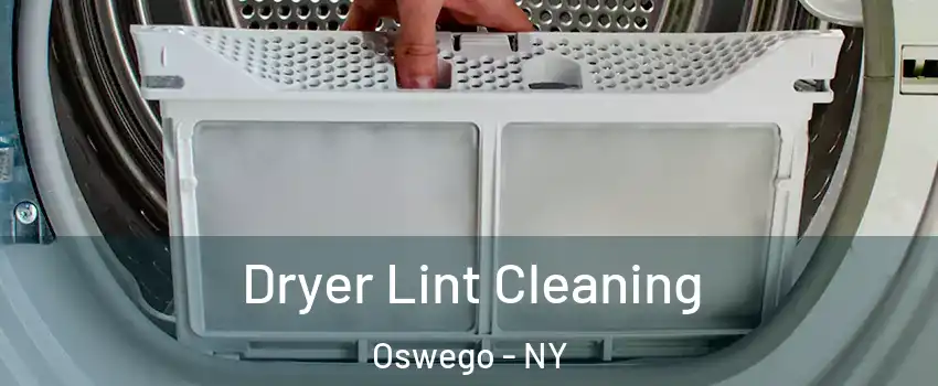  Dryer Lint Cleaning Oswego - NY