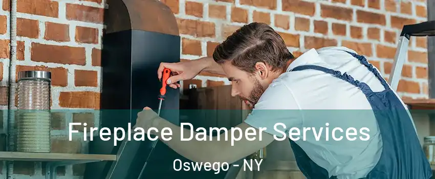  Fireplace Damper Services Oswego - NY