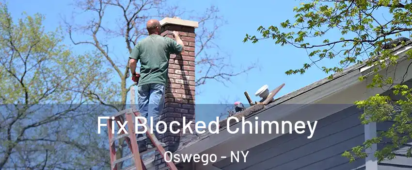  Fix Blocked Chimney Oswego - NY