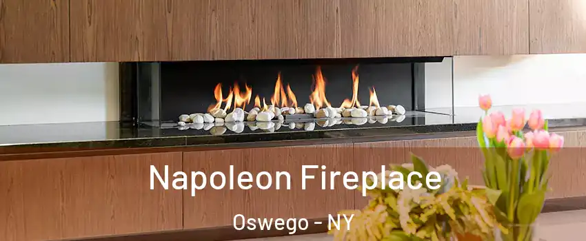  Napoleon Fireplace Oswego - NY