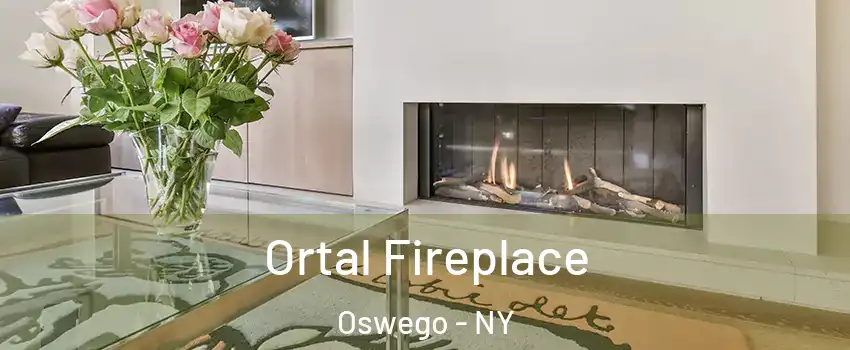  Ortal Fireplace Oswego - NY